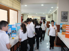 Evrensel Kolej